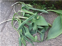 792c3d19-Picture 246.jpg